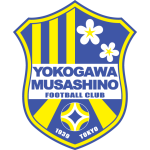 logo away team